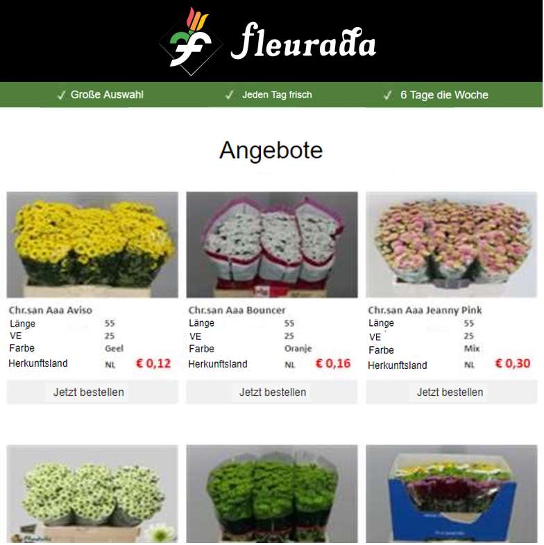 Newsletter Fleurada